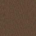 МШДК Дуб кофейный